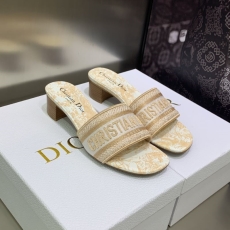 Christian Dior Slippers